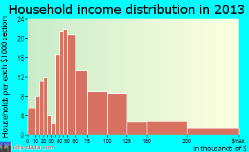 Pleasant View household income distribution