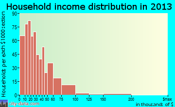Pulaski household income distribution
