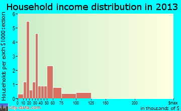 Rives household income distribution