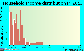 Selmer household income distribution