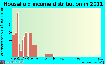 Boling-Iago household income distribution