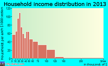 Borger household income distribution