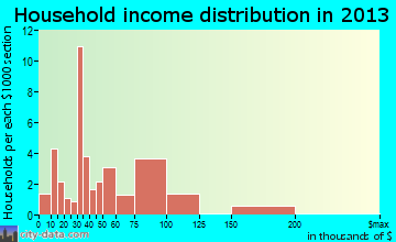 Burke household income distribution