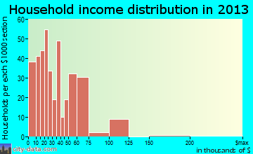 Canutillo household income distribution
