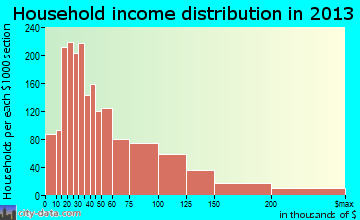 Hurst household income distribution