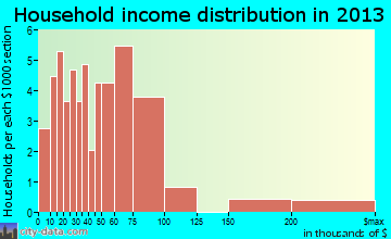 Liberty Hill household income distribution
