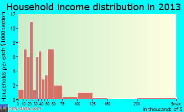 Marathon household income distribution