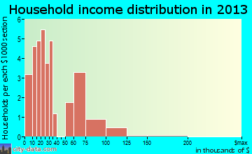 Mount Enterprise household income distribution