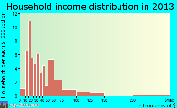 New Summerfield household income distribution