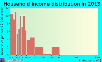 Petersburg household income distribution