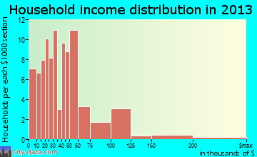 Plains household income distribution