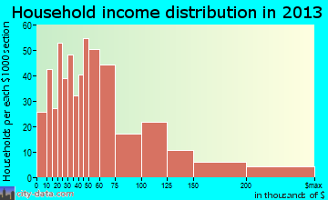 Port Neches household income distribution