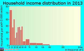Raymondville household income distribution