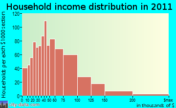 Cedar Creek-Red Rock, TX household income