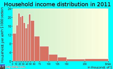 Center Point household income distribution