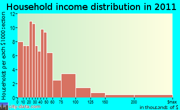 Tilden household income distribution