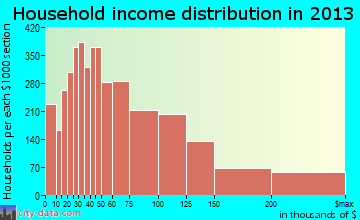 Richardson household income distribution