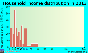 Rio Bravo household income distribution