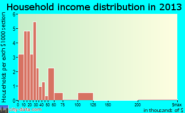Rochester household income distribution