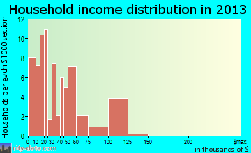 Rocksprings household income distribution
