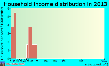 Salineno household income distribution