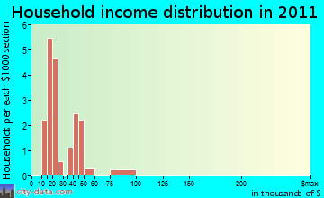 Study Butte-Terlingua household income distribution