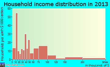 Wimberley household income distribution