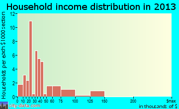 Garden City household income distribution