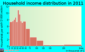 Burke household income distribution