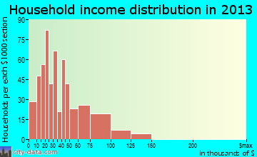 Buena Vista household income distribution