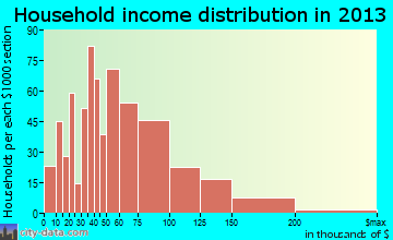 Bull Run household income distribution
