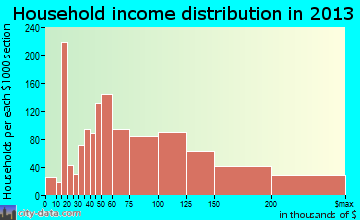 Leesburg household income distribution