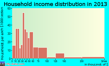 Luray household income distribution