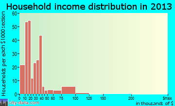 Raven household income distribution