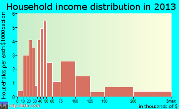 Remington household income distribution