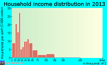 Saltville household income distribution