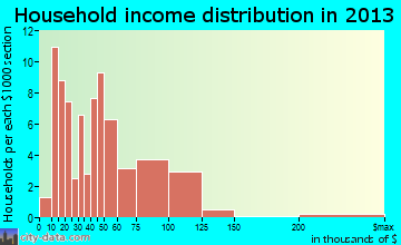 Electric City household income distribution