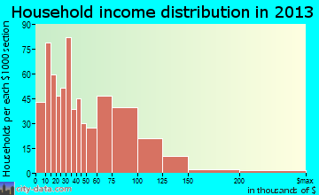 Ferndale household income distribution