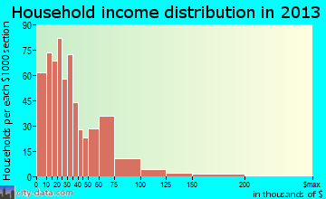 Princeton household income distribution