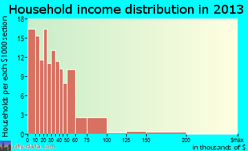 Rainelle household income distribution