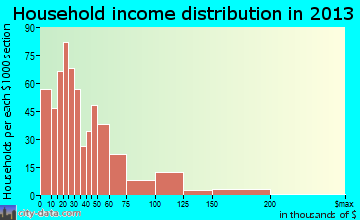 Elkins household income distribution