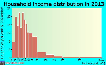 Petersburg household income distribution