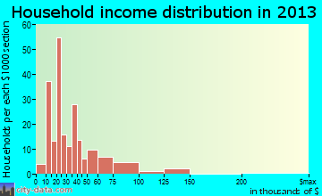 Burney household income distribution