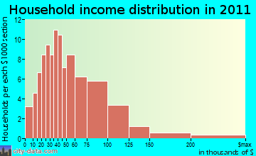 Brunswick household income distribution
