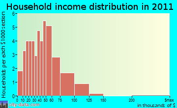 Birch household income distribution