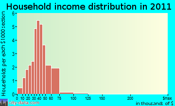 Enterprise household income distribution