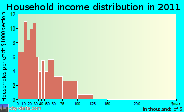 Rib Lake household income distribution