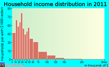Rice Lake household income distribution