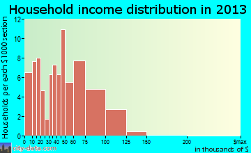 Rio household income distribution