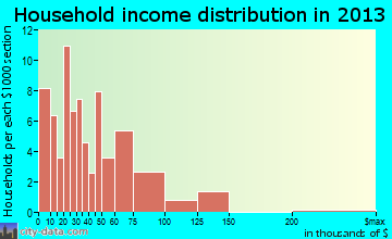 Fort Washakie household income distribution